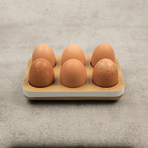 Egg Tray