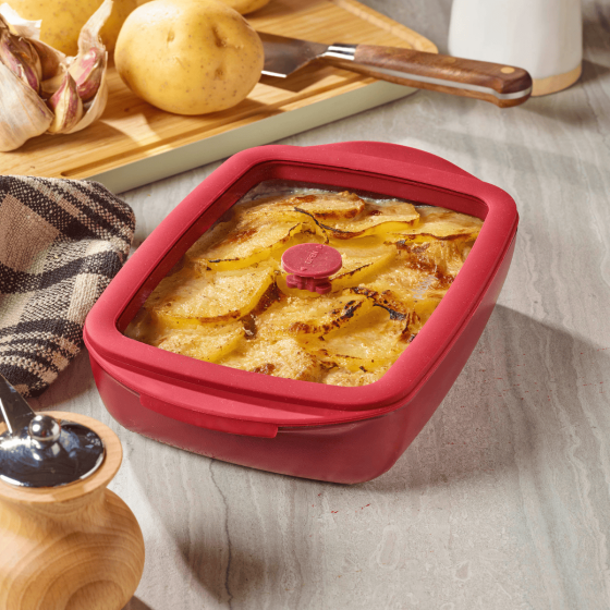 2 Plats à Four en Verre - Rouge Grenat